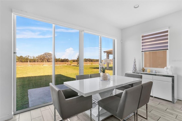 dining space with light hardwood / wood-style flooring