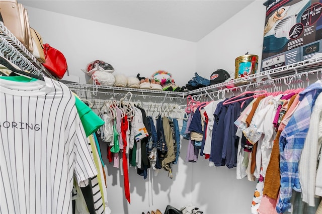 view of walk in closet