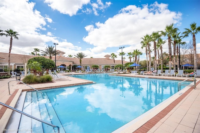 view of swimming pool featuring a patio