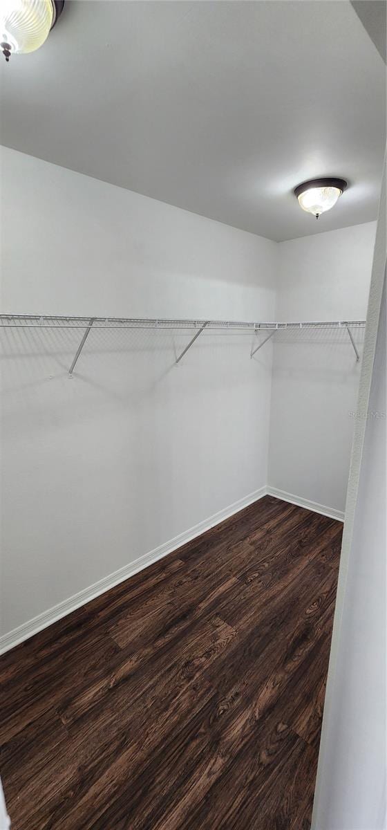 spacious closet with dark hardwood / wood-style floors