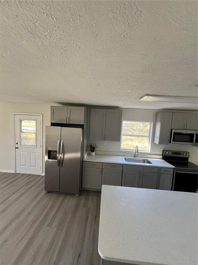 kitchen featuring a textured ceiling, stainless steel appliances, sink, hardwood / wood-style flooring, and gray cabinets