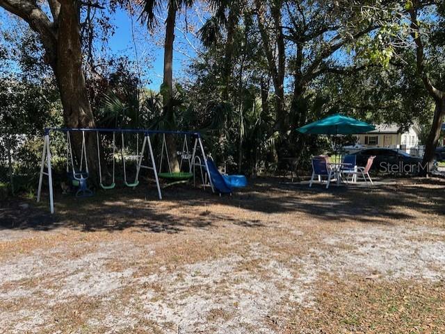 view of jungle gym