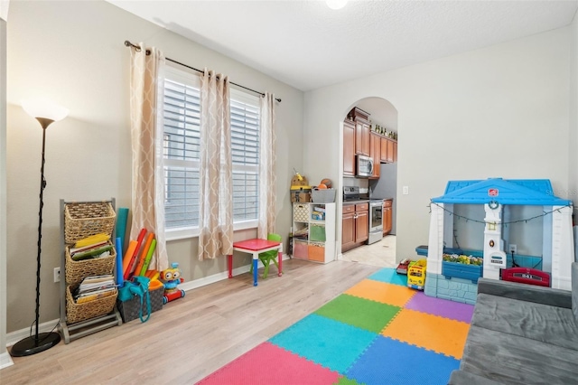 game room featuring light hardwood / wood-style floors