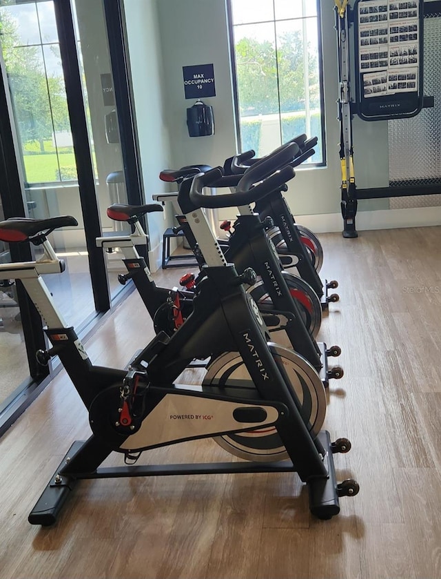 gym featuring hardwood / wood-style flooring