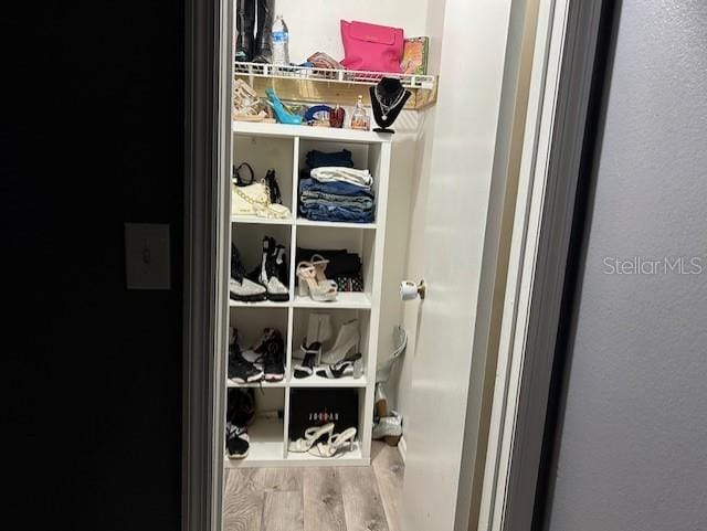 view of closet