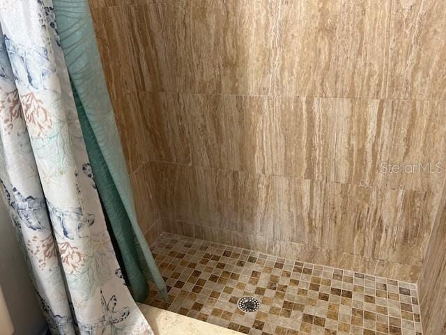 bathroom featuring a shower with shower curtain