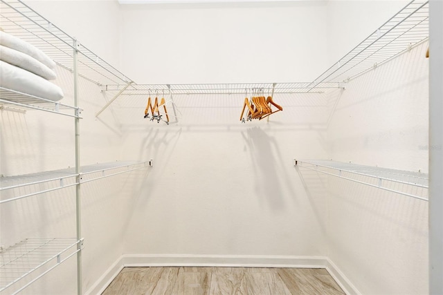 walk in closet featuring wood-type flooring