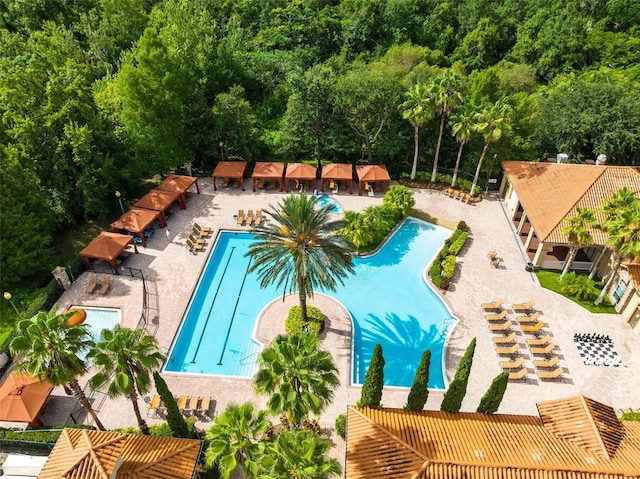 view of swimming pool