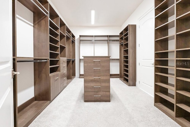 walk in closet featuring light carpet