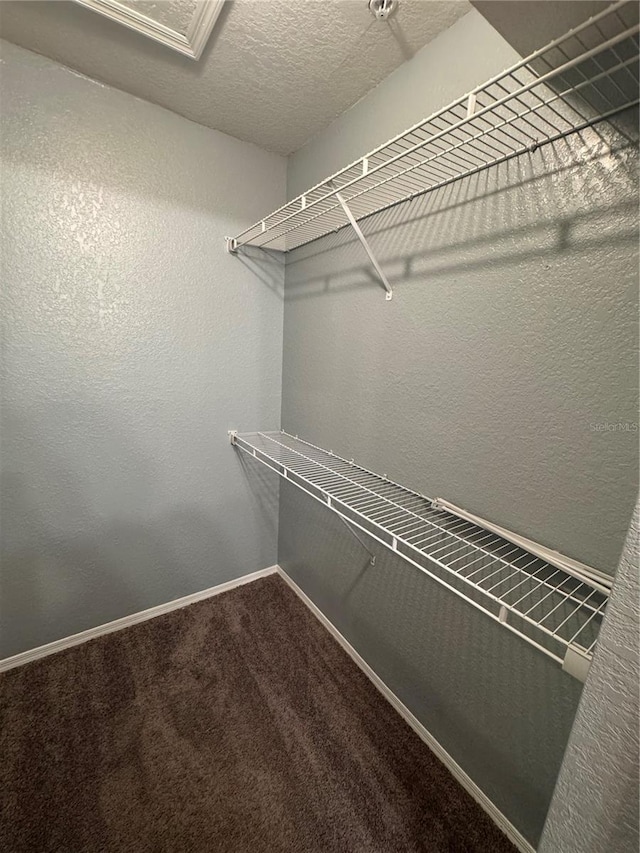 spacious closet with carpet