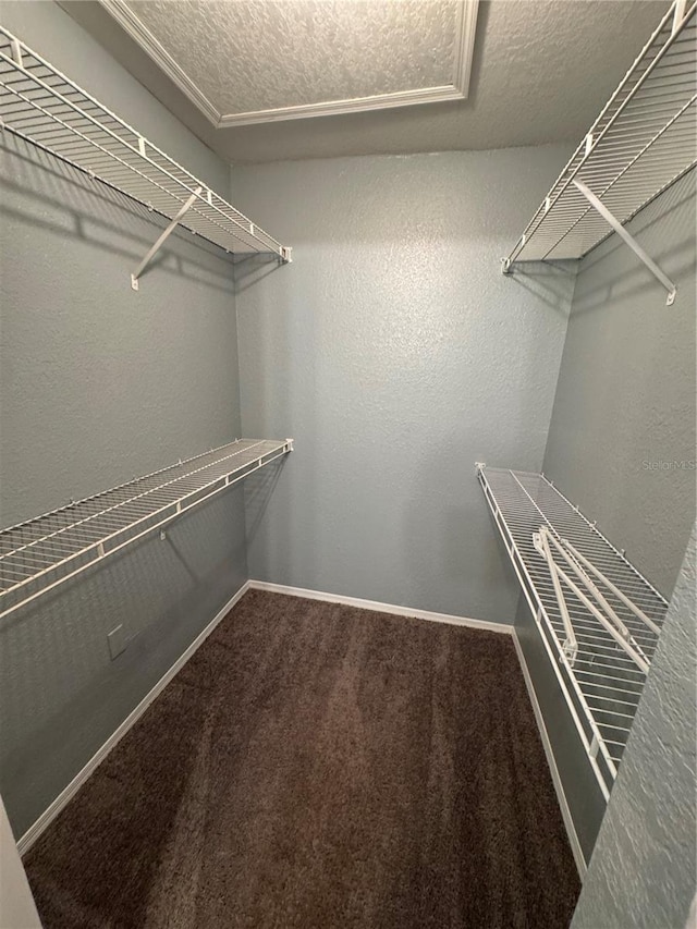 walk in closet with carpet floors