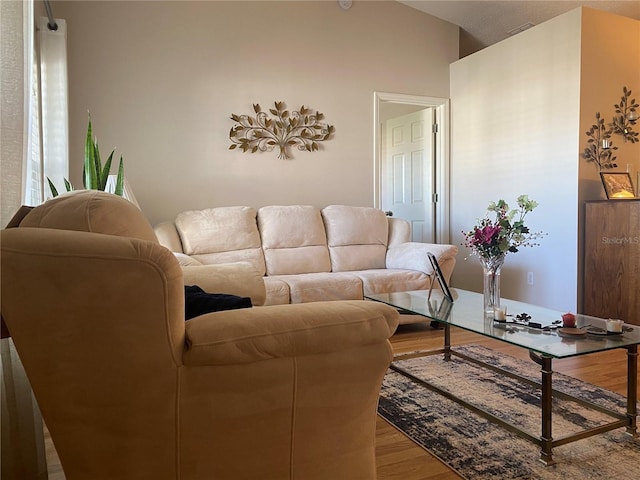 living room featuring hardwood / wood-style flooring