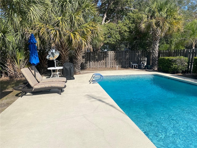 view of pool featuring a patio