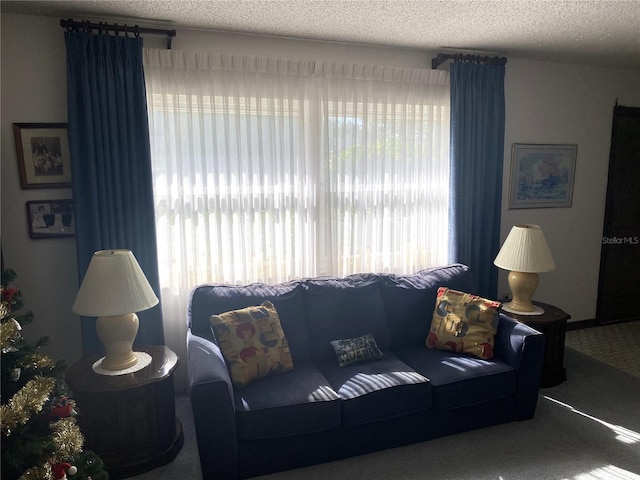 living room featuring carpet flooring and a textured ceiling