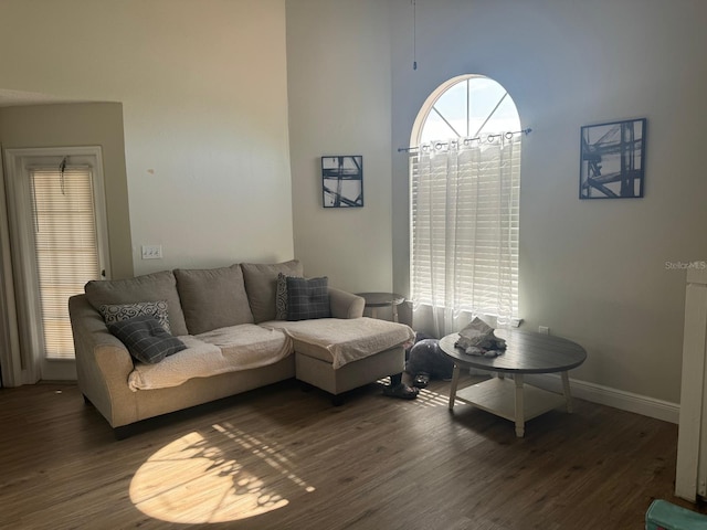 living room featuring a towering ceiling and dark hardwood / wood-style floors