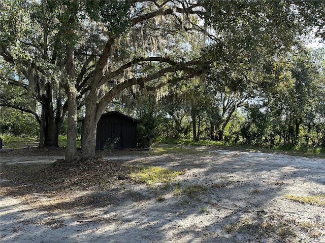 view of yard with a storage shed