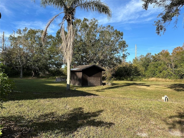 view of yard with a shed