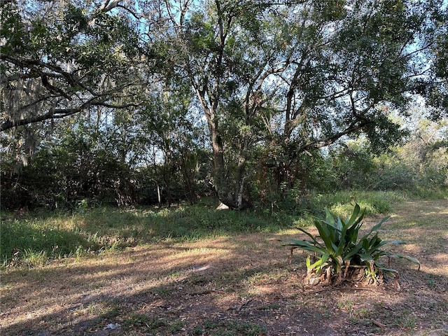 view of landscape