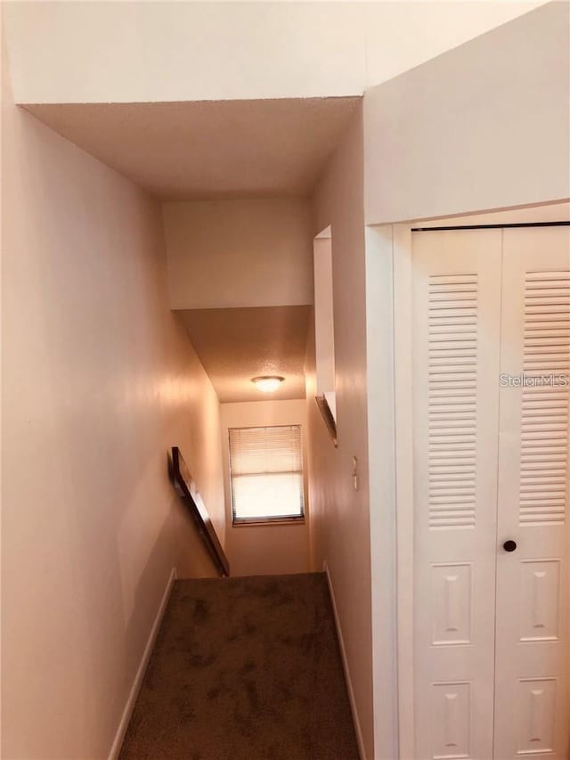 stairway with carpet floors