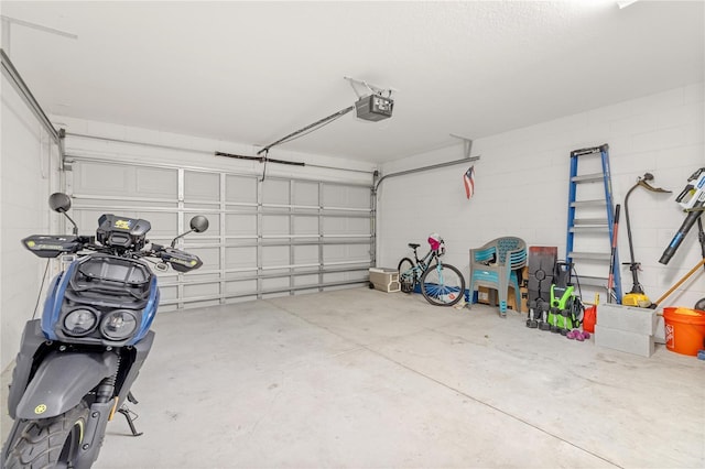 garage with a garage door opener