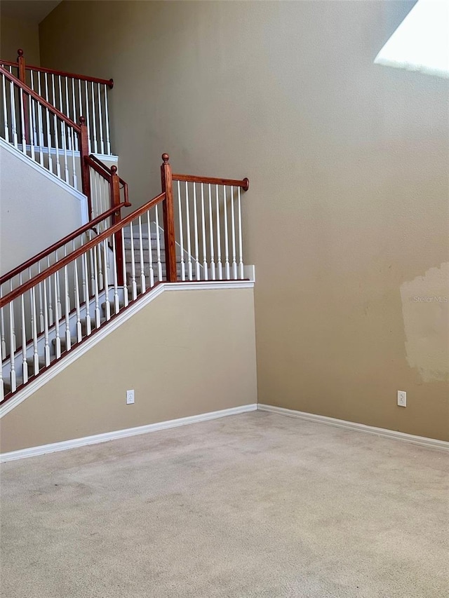 staircase featuring carpet floors