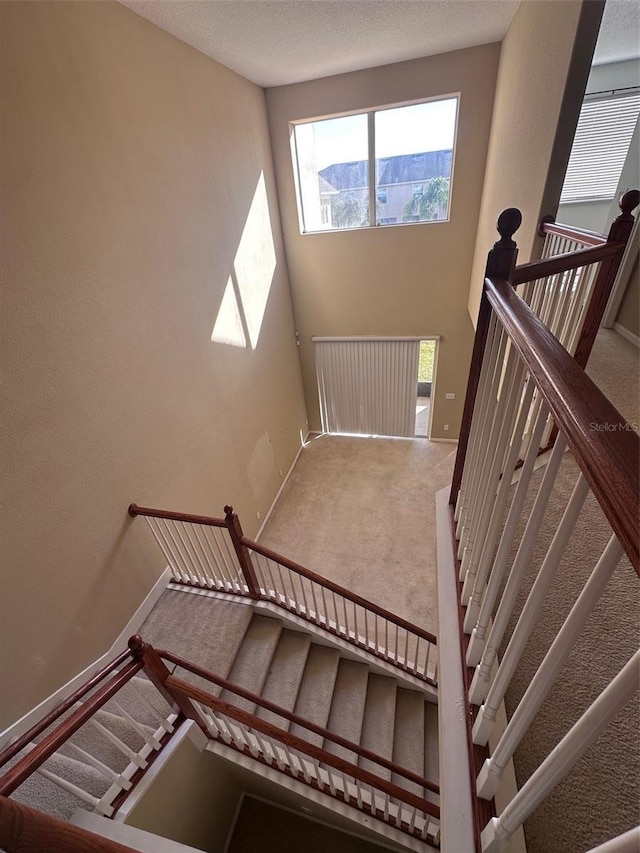 stairway with carpet flooring