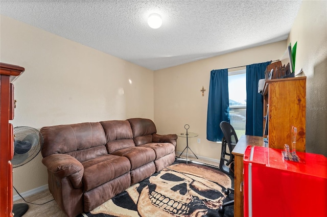 living room featuring a textured ceiling