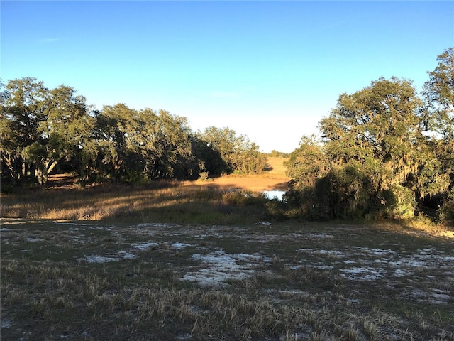 view of landscape