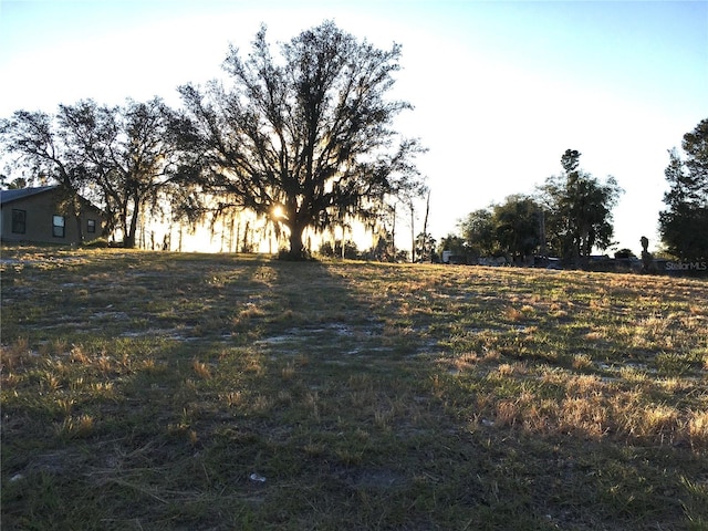 view of yard featuring a rural view