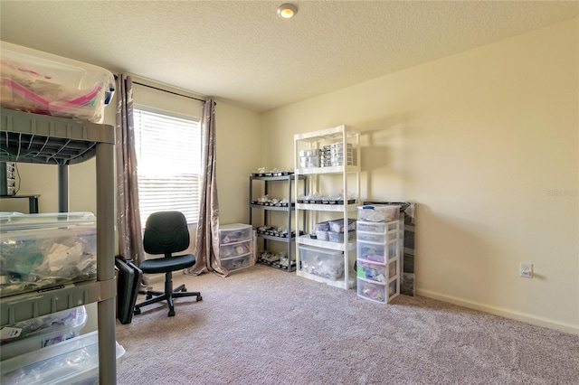 carpeted office space with a textured ceiling