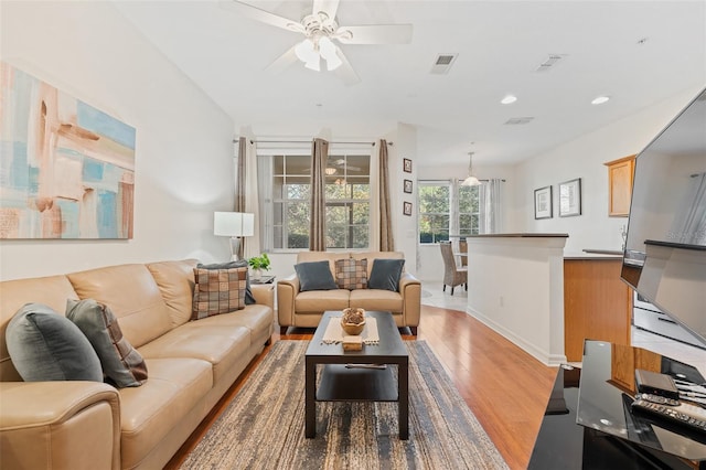 living room with ceiling fan and light wood-type flooring