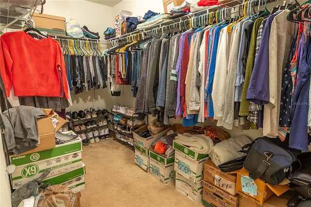 walk in closet featuring carpet floors