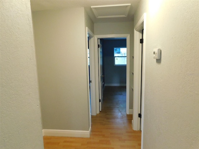 hallway with light hardwood / wood-style flooring