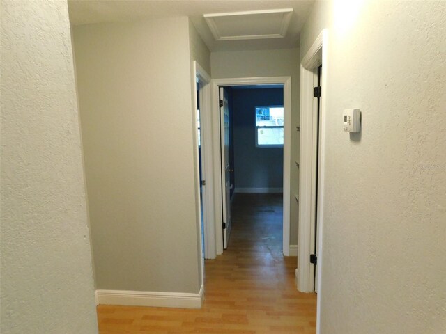 7423 SE 226th Ter, Hawthorne, FL 32640 - photo 16