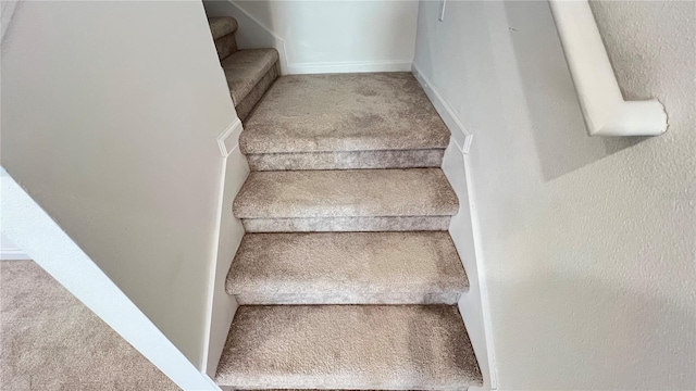 stairway featuring carpet