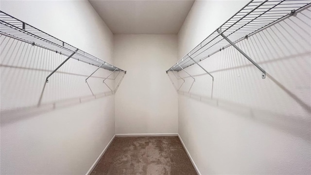 spacious closet with carpet floors