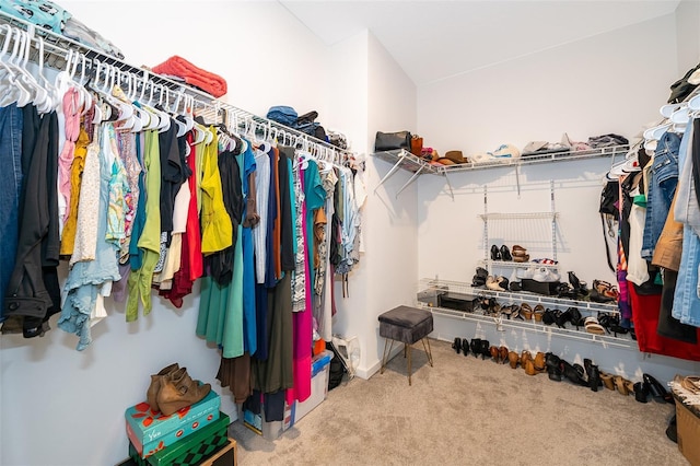 spacious closet with carpet flooring