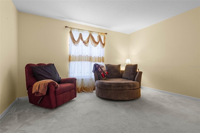 living area featuring carpet and a textured ceiling