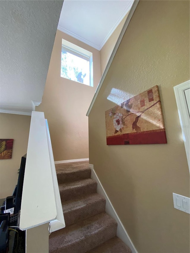 stairway with crown molding