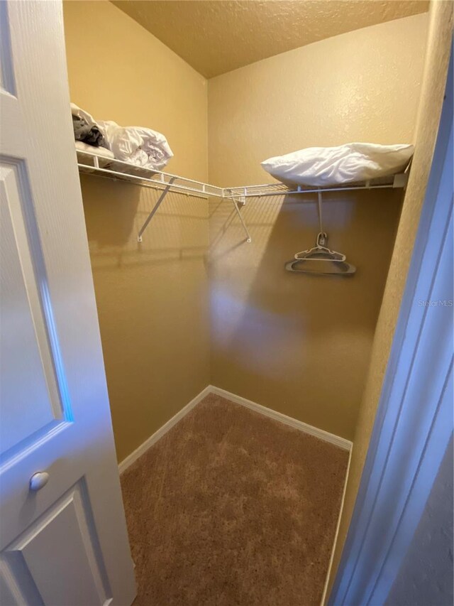 spacious closet featuring carpet flooring