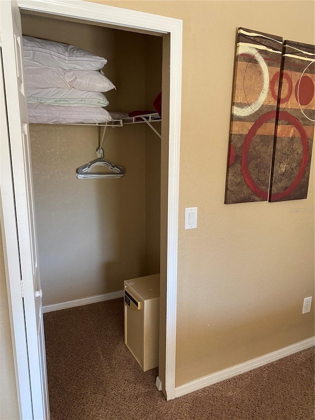 467 La Mirage St, Davenport, FL 33897 - view of closet