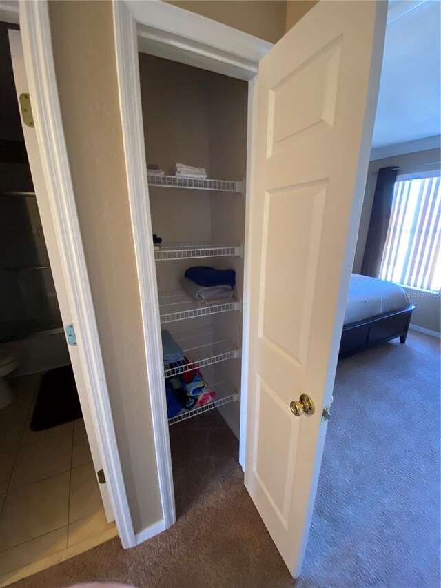 view of closet