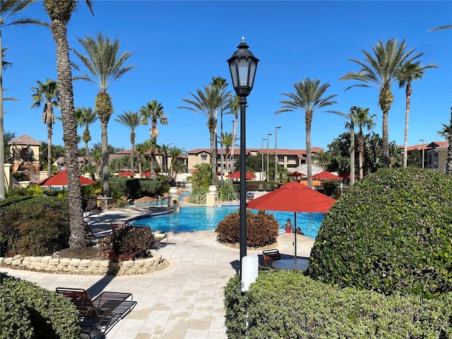 view of swimming pool featuring a patio