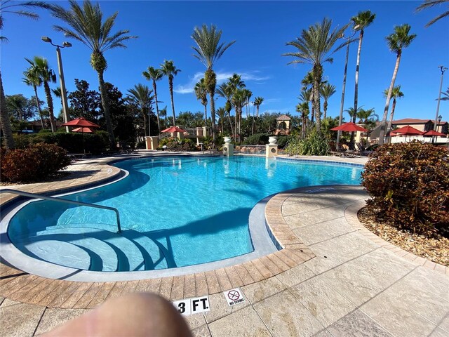 view of swimming pool