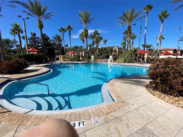 467 La Mirage St, Davenport, FL 33897 - community pool featuring a patio