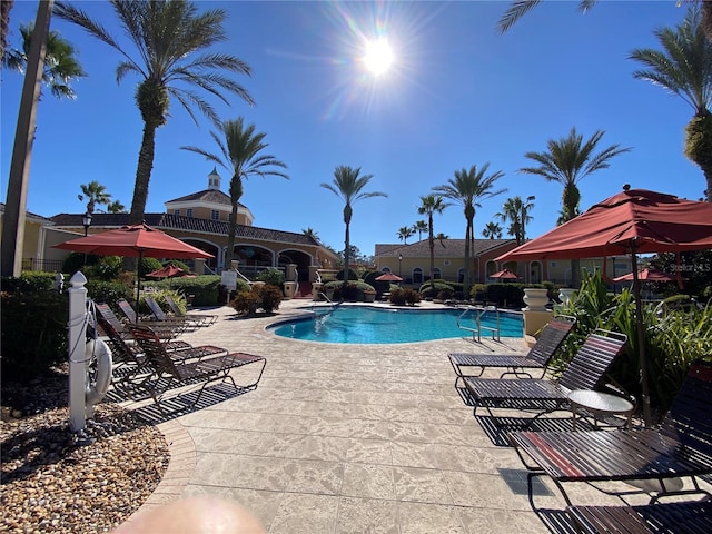 view of pool with a patio