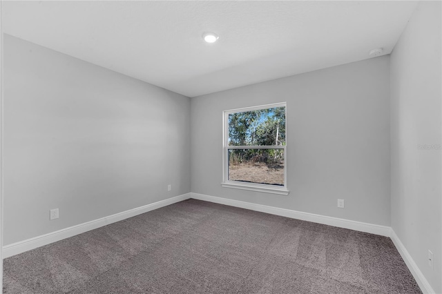 empty room featuring carpet