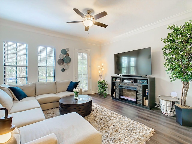 living room with a stone fireplace, crown molding, ceiling fan, and dark hardwood / wood-style floors