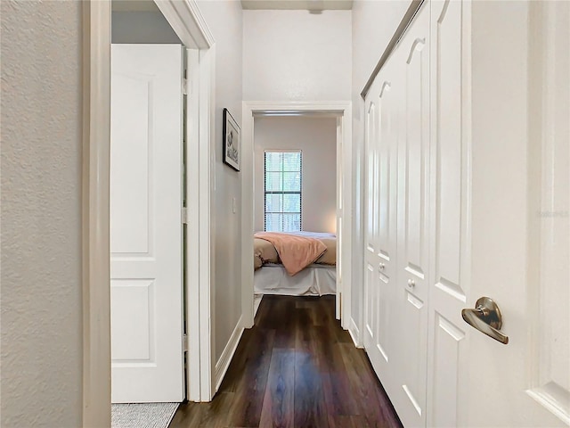 hallway featuring dark wood-type flooring