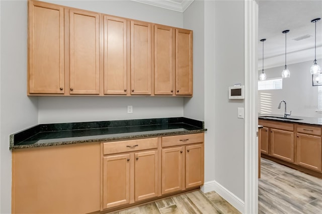 kitchen with light hardwood / wood-style floors, crown molding, sink, and hanging light fixtures